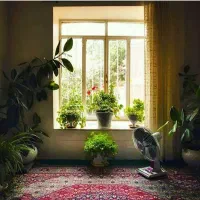 رهن-و-اجاره-منزل-دو-طبقه-محله-لب-آب