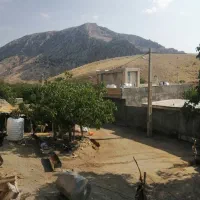اجاره خانه