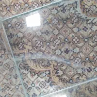 آکواریوم و وسایل|ماهی|گناباد, |دیوار