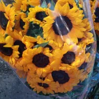 دسته گل آفتابگردون بقچه ایی|گل و گیاه طبیعی|تهران, ورزشگاه آزادی|دیوار