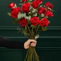 گل رز هلندی قیمت کمتر از گلخانه