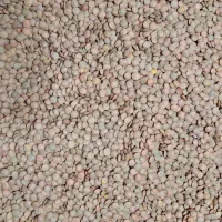 حبوبات درفروشگاه عبادی ارزانتر شد،چیتی۲۸۵۰۰۰ تومان|خوردنی و آشامیدنی|تبریز, |دیوار