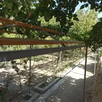 جوشکاری سیار ، هرس و برش چوب و درخت در باغبهادران