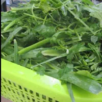 سبزی خورشتی تازه