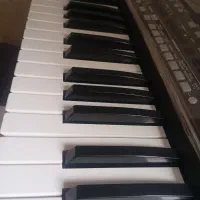 ارگ پیا600|پیانو، کیبورد، آکاردئون|تهران, تجریش|دیوار
