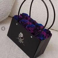 گل های روبانی و پروانه ای