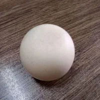 فروش فوری سنگ آسیاب|کلکسیون اشیاء عتیقه|سبزوار, پیام|دیوار