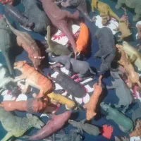 فیگور حیوانات کلکسیونی|کلکسیون و سرگرمی|تنکابن, |دیوار