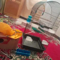 قفس بزرگ وتعدادی وسایل دیگر