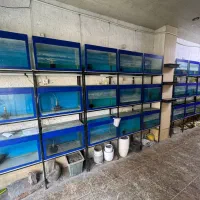 اکواریوم به همراه پایه