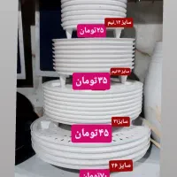 جزیره زیرگلدانی بابا ادم گل گیاه شامادورا اریکا