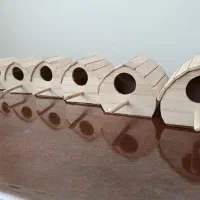 لانه چوبی فنچ