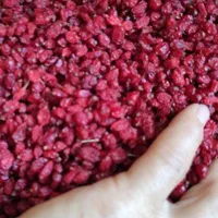 زرشک پفکی خشک|خوردنی و آشامیدنی|اصفهان, شمس آباد|دیوار