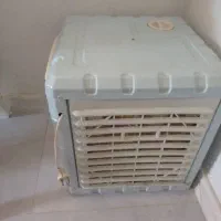 دیوار