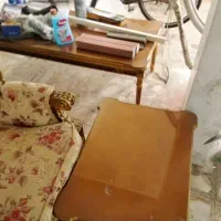 مبل سلطنتی|مبلمان خانگی و میز عسلی|آستانه اشرفیه, |دیوار