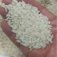 برنج طارم کاظمی لرستان