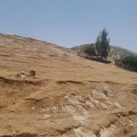 زمین شیروان|فروش زمین و ملک کلنگی|سیروان, |دیوار