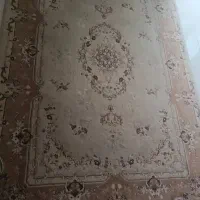 قالی ۶ متری و ۹ متری مشهد|فرش|یزد, |دیوار