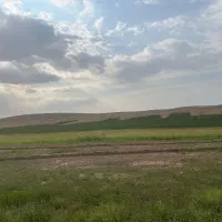 زمین کشاورزی ابی