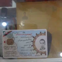 تعدادی کارت گمشده بنام سید ناصر میرزایی