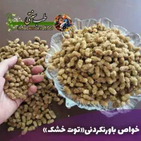 آموزش با درآمد  در منزل با گوشی