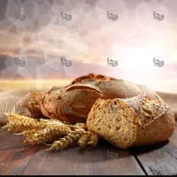 کاربر خانوم جهت مدیریت اسنپ در مغازه