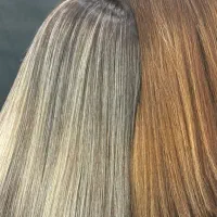 دستیار رنگ حرفه ای