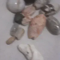 چند سدف  کلکسیونی یک سنگ آسیاب وچند مهره قدیمی|کلکسیون اشیاء عتیقه|دزفول, |دیوار