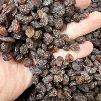 کشمش ملکان|خوردنی و آشامیدنی|تبریز, |دیوار