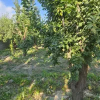 6000متر-زمین-سنددار-تهاتر-تهراندشت-سهیلیه-کردان