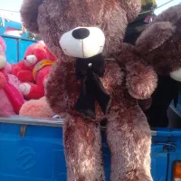 دوعد عروسگ شاسقین