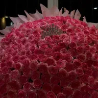 گل روبانی ۳۰۰ شاخه