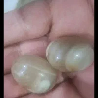 مهره زبونبند و محبت و تسهیل امور و...|جواهرات|شادگان, |دیوار