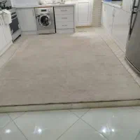 پالاز موکت|موکت|اردبیل, |دیوار