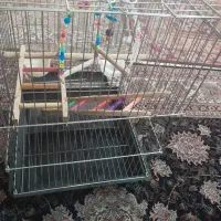 قفس پرنده بزرگ