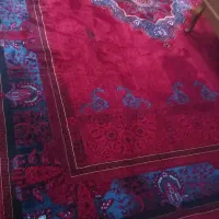 فرش نو و تازه|فرش|رشت, احمد گوراب|دیوار