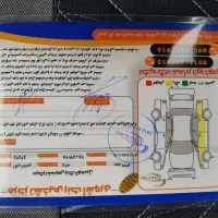 پراید ۱۳۱ EX|خودرو سواری و وانت|فردیس, طالقانی|دیوار