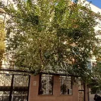 رهن ۹۰ متری دوخواب شیک در حشمتیه