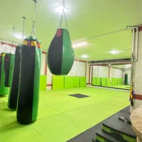 تاتمی کیسه بوکس استپ