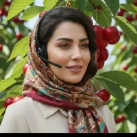 فروش نهال شلیل الوچه انار پسته فندق صنوبر بادام به