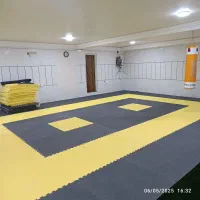 تاتامی ۲۰ میل دو رو