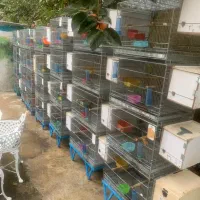 قفسه جفت خان تعداد 8جفت هر جفت 4 عدد|لوازم جانبی حیوانات|تهران, درکه|دیوار