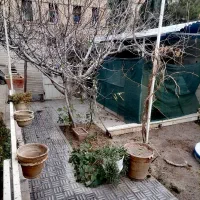 اجاره اتاق همراه حیاط میدان سعدی|اجارهٔ کوتاهمدت آپارتمان و سوئیت|سمنان, |دیوار