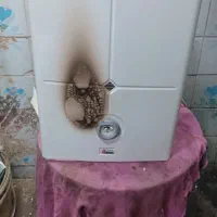 آبگرمکن دیواری بوتان