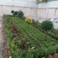 کلیه خدمات باغبانی با سابقه بالا