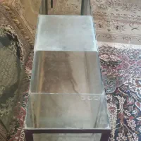 اکواریوم|ماهی|همدان, |دیوار