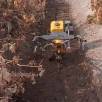 شخم زن باغات شما با کلتیواتور