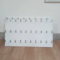قفسه رگال