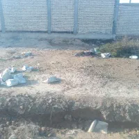 زمین سی انجی