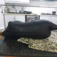 هیزه|خوردنی و آشامیدنی|سرپل ذهاب, |دیوار